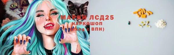 СК Сафоново