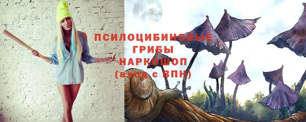 СК Сафоново
