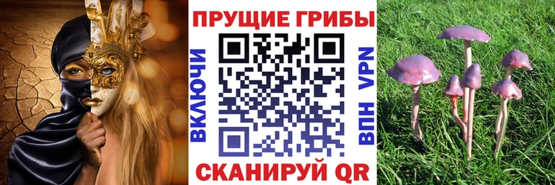 Псилоцибиновые грибы мухоморы  Татарск 