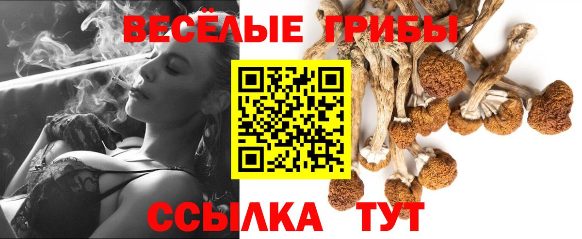 Татарск  Галлюциногенные грибы ЛСД  Вход с VPN  Галлюциногенные грибы Cubensis 