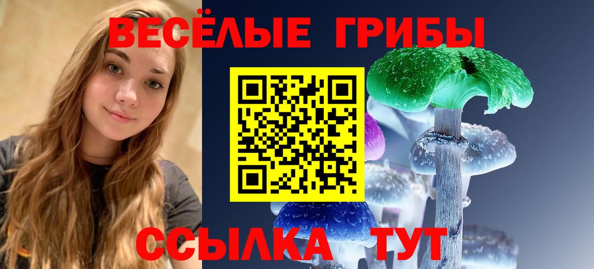 Галлюциногенные грибы Magic Shrooms Татарск